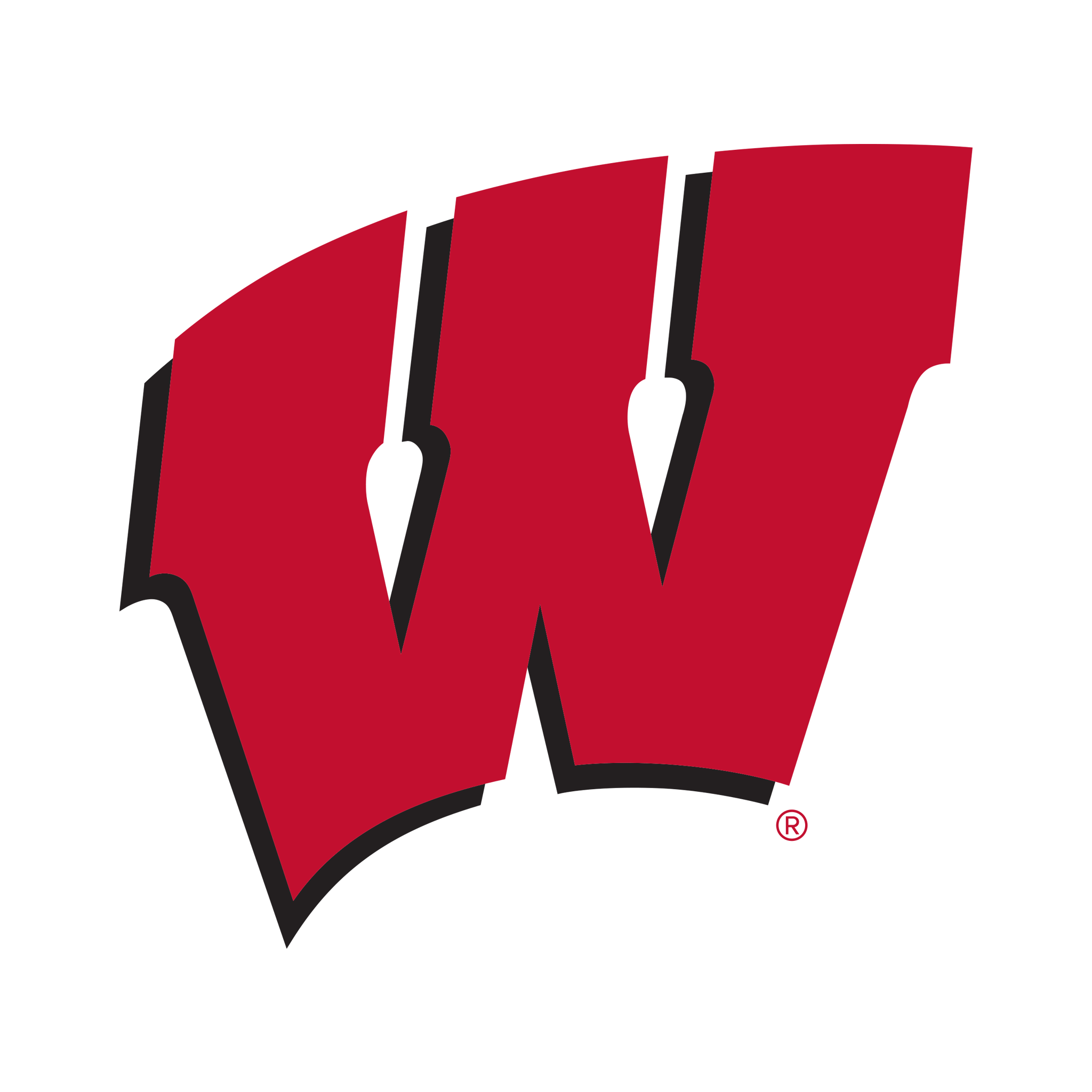 Wisconsin Badgers collection official team logo.