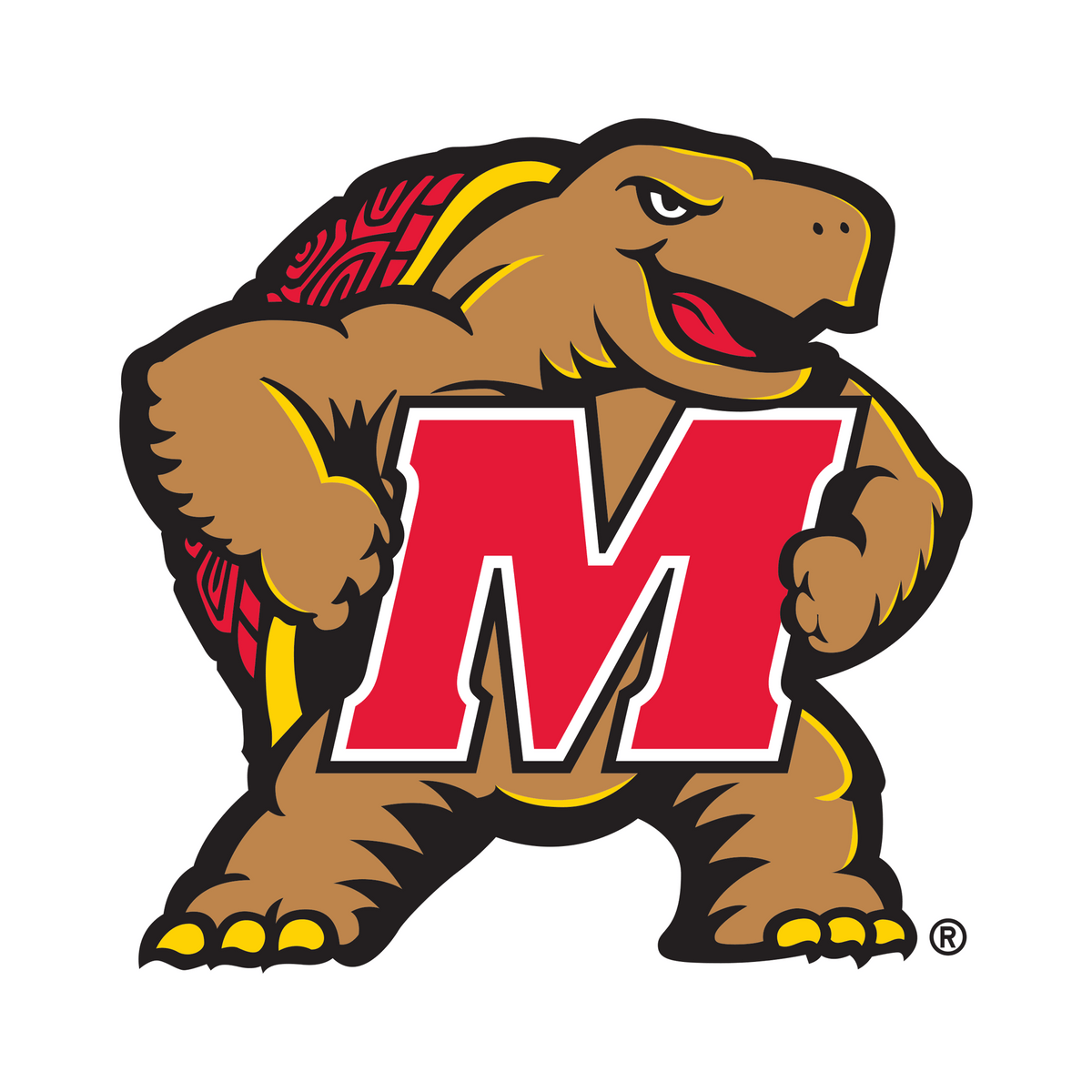 Maryland Terrapins collection with official team logo.