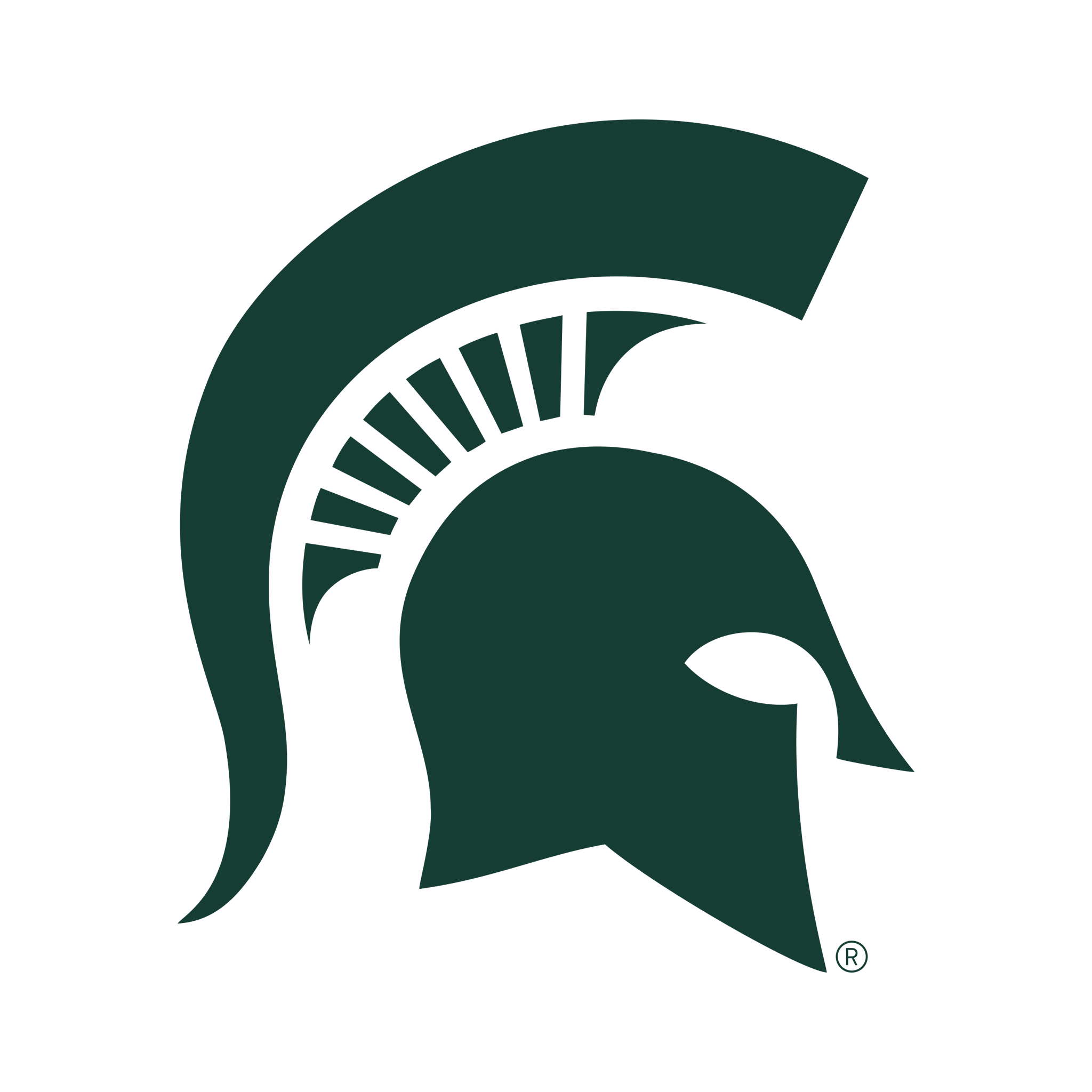 Michigan State Spartans Collection with official team logo.